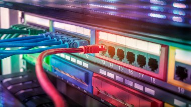 Veri sunucu odasındaki yama paneline bağlı mavi ve kırmızı internet yama kablosu olan sunucu rafı