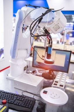Zenginlik fabrikasındaki robotik görüş sensör kamera sistemi