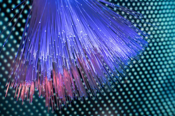 Glasfaser Netzwerkkabel Für Schnelle Kommunikation — Stockfoto