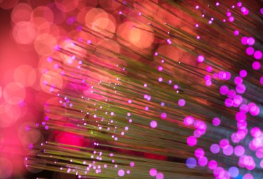 fiber optik ağ kablosu