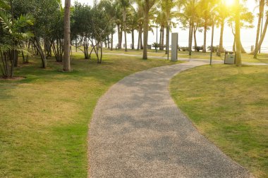 Güzel bir parkta yürüyüş.