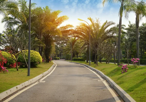 Walkway in a beautiful Park — Stock Photo, Image