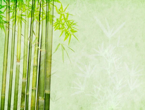 Bambù su sfondo vecchio grunge carta texture — Foto Stock