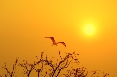 bir lagün üzerinde