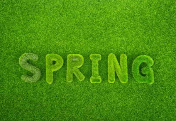 Spring word made from grass — Stock Photo, Image