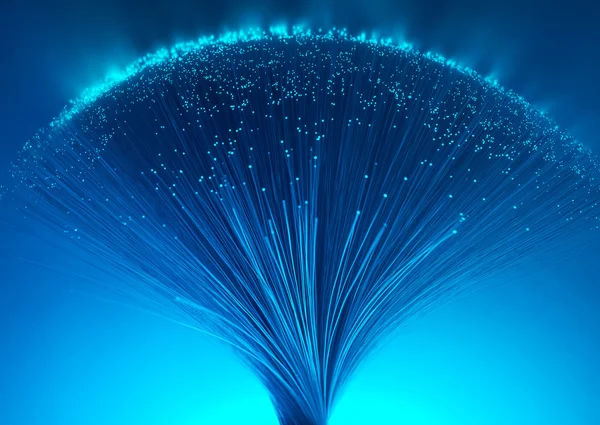 fiber optik ağ kablosu