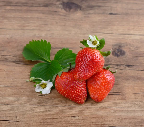 草莓上木 — 图库照片