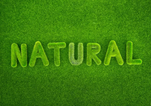 Natural word made of green grass — Stock Photo, Image