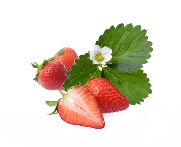 Φράουλες μούρο — Φωτογραφία Αρχείου