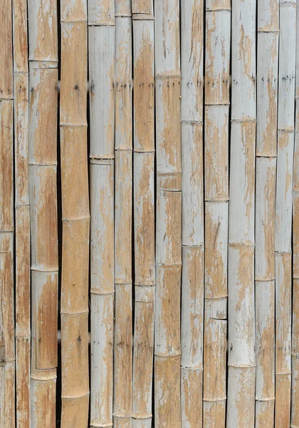Viejo fondo de bambú marrón seco — Foto de Stock