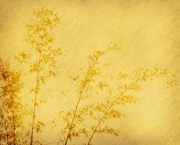 Bamboo on old grunge paper — Stock Photo, Image