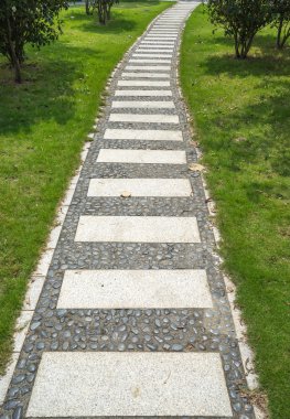 Güzel bir parkta yürüyüş.