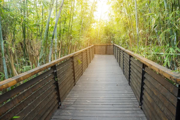 Pont en bois sur la rivière — Photo