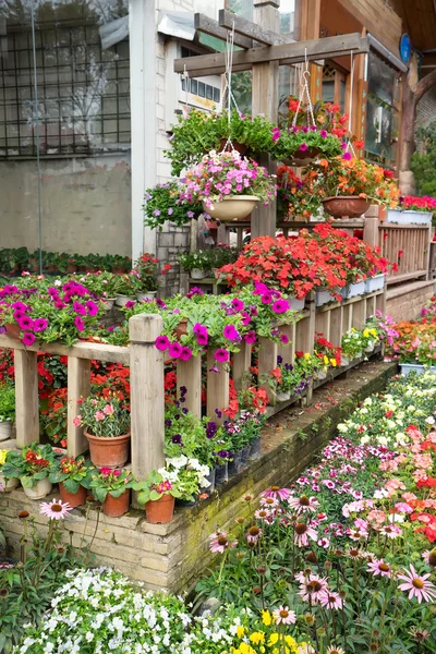 Blumen in Töpfen im örtlichen Gartencenter — Stockfoto