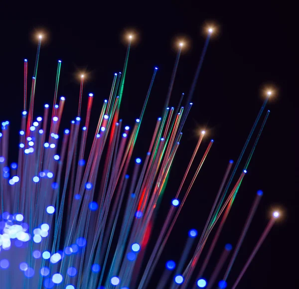 Üvegszálas optikai hálózati kábel — Stock Fotó