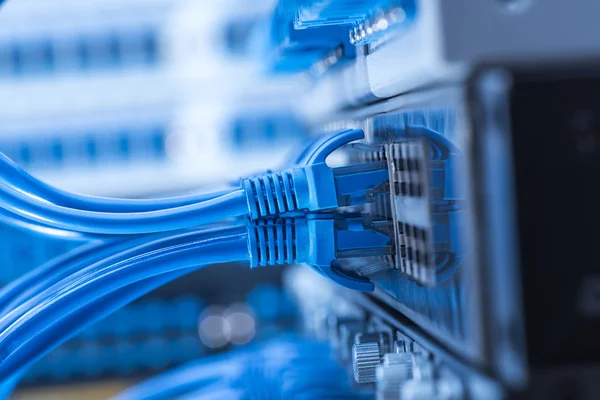 Сетевой коммутатор и кабели Ethernet, Концепция центра обработки данных — стоковое фото