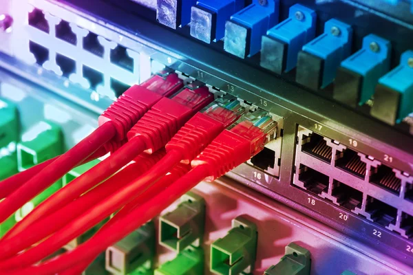 Мережевий комутатор та кабелі Ethernet, концепція Центру даних — стокове фото