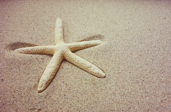 Estrella de mar con marco en la playa, recuerdos de vacaciones —  Fotos de Stock