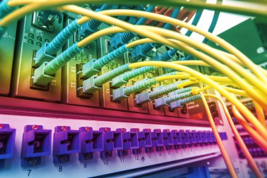 Fiber optik kabloların bağlı bir optik bağlantı noktaları ve ağ kablosu