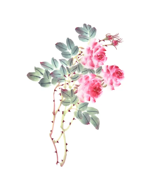 Pittura tradizionale cinese di fiore di rosa su sfondo bianco — Foto Stock