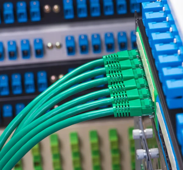 Interruttore di rete e cavi ethernet, concetto di data center. — Foto Stock