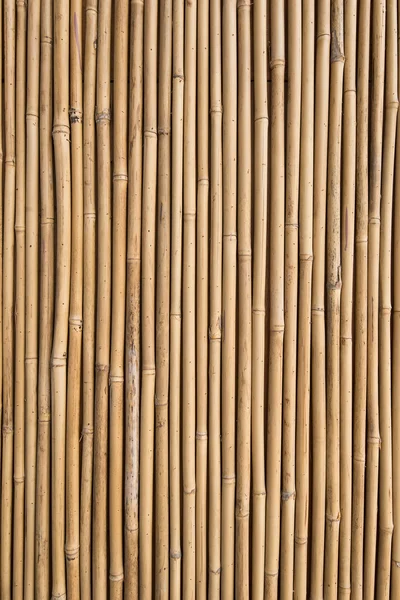 Cerca de bambu — Fotografia de Stock