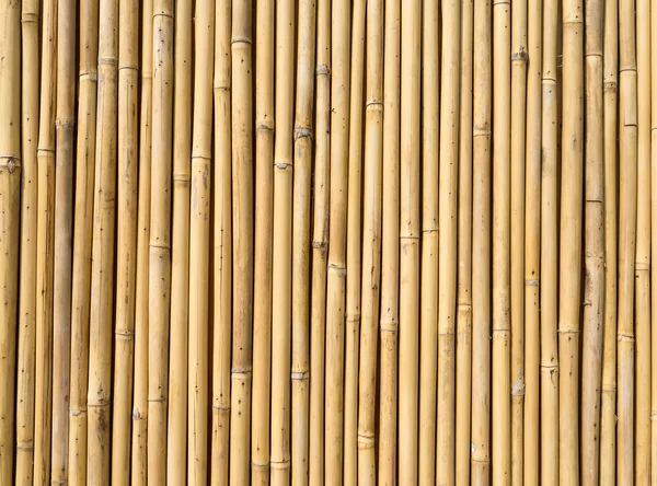 Bamboo fence — Stock Photo, Image