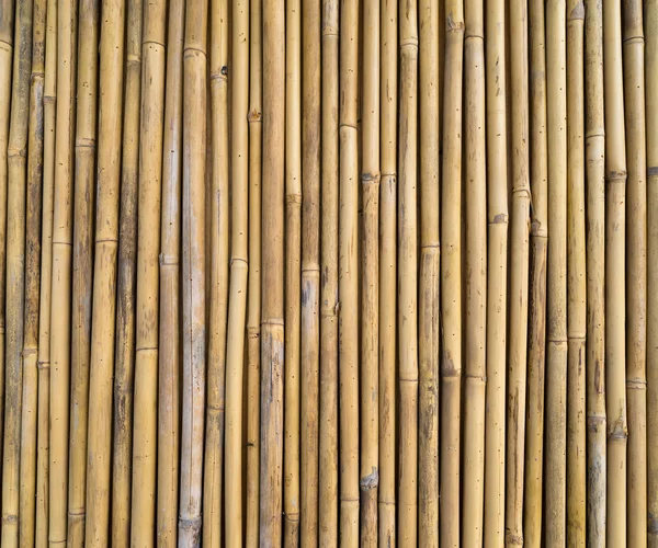 Cerca de bambu — Fotografia de Stock