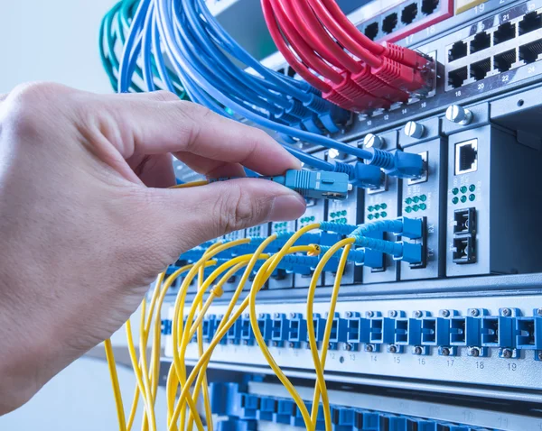 Hand of administrator holding optic fiber cables with connectors — Stock Photo, Image