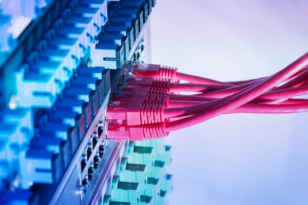 Netzwerkkabel und Hub-Nahaufnahme mit Glasfaser-Hintergrund — Stockfoto