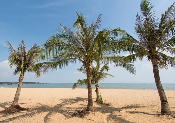 Silhouette di palma sul tramonto paradiso sulla spiaggia — Foto Stock