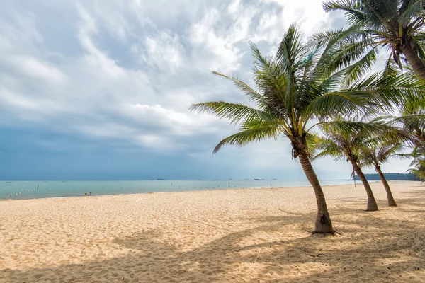 Palm fa sziluettje a paradicsomban naplementét a strandon — Stock Fotó