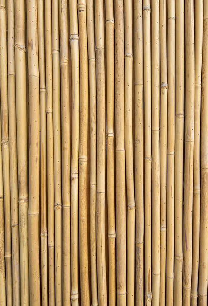 Cerca de bambu fundo — Fotografia de Stock