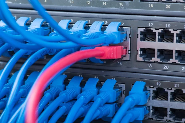 Сетевой коммутатор и кабели Ethernet, Концепция центра обработки данных. — стоковое фото