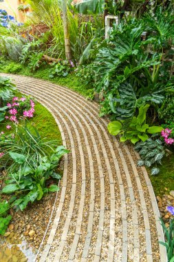 Bahçeden geçen patika