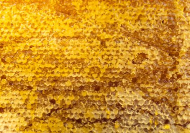 Altın bal peteği ve bal arkaplanı
