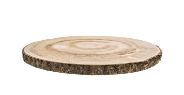 Beyaz üzerine izole edilmiş dekorasyon için yuvarlak ahşap kaplama arka plan