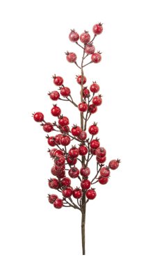 Kırmızı yapay kirazlar Noel 'i bembeyaz süslemek için.