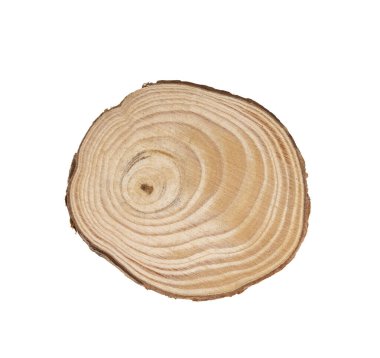 Dekorasyon için yuvarlak ahşap kaplama arka plan