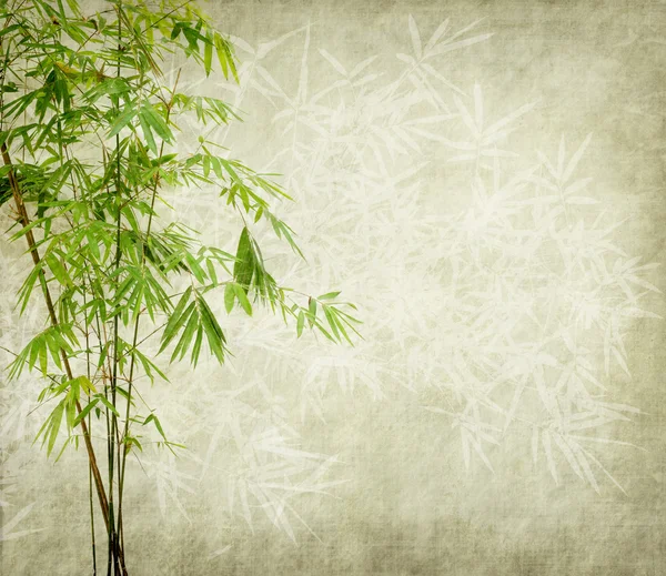 Bamboo on old grunge paper texture background — Stock Photo, Image