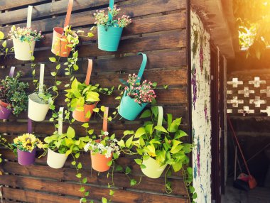 Çitli Asılı Çiçek Saksıları