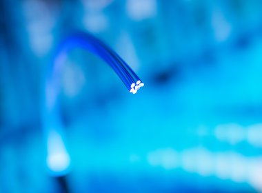 fiber optik görüntüsünü