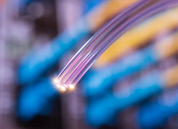 Shot of fiber optics — Stock Photo, Image