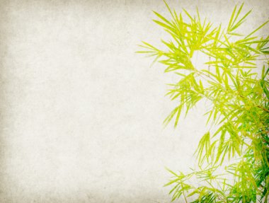 Eski grunge kağıt doku arka planında bambu