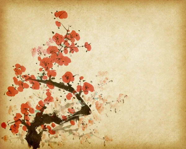 Traditionell kinesisk målning våren plum blossom på gamla vintage — Stockfoto