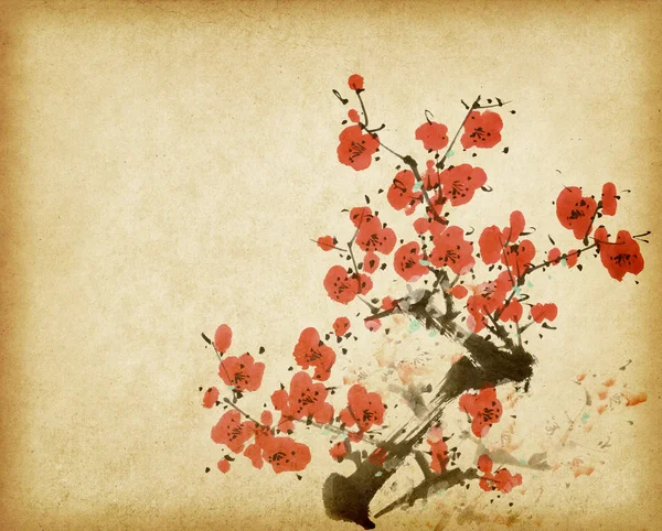 Traditionele Chinees schilderij voorjaar plum bloesem op oude vintage — Stockfoto