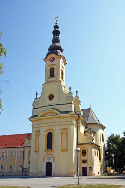 Saint Teresa av Avila katedralen — Stockfoto