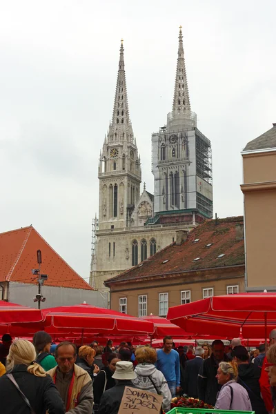 Kathedraal van Zagreb, Kroatië — Stockfoto