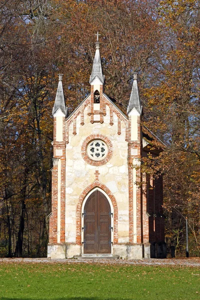 Католицька Церква в лісі — стокове фото