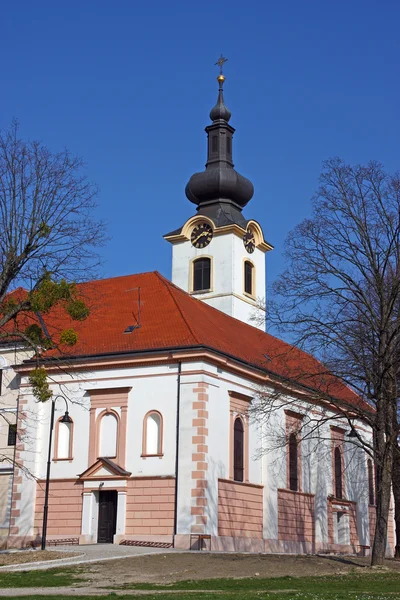 Szent Miklós templom, Koprivnica — Stock Fotó